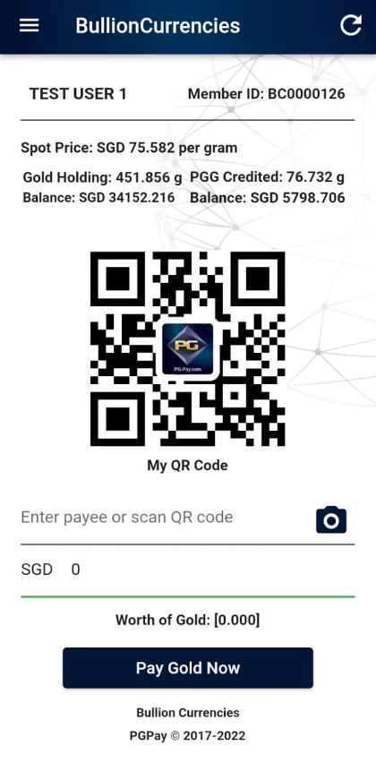 PGPay screenshot 3